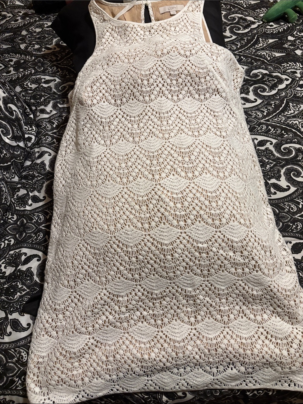 LOFT Cream Crochet A-Line dress